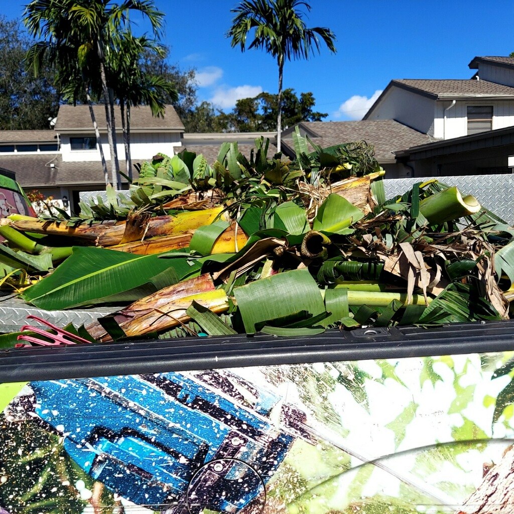 Truck bed loaded with cut palm and banana debris