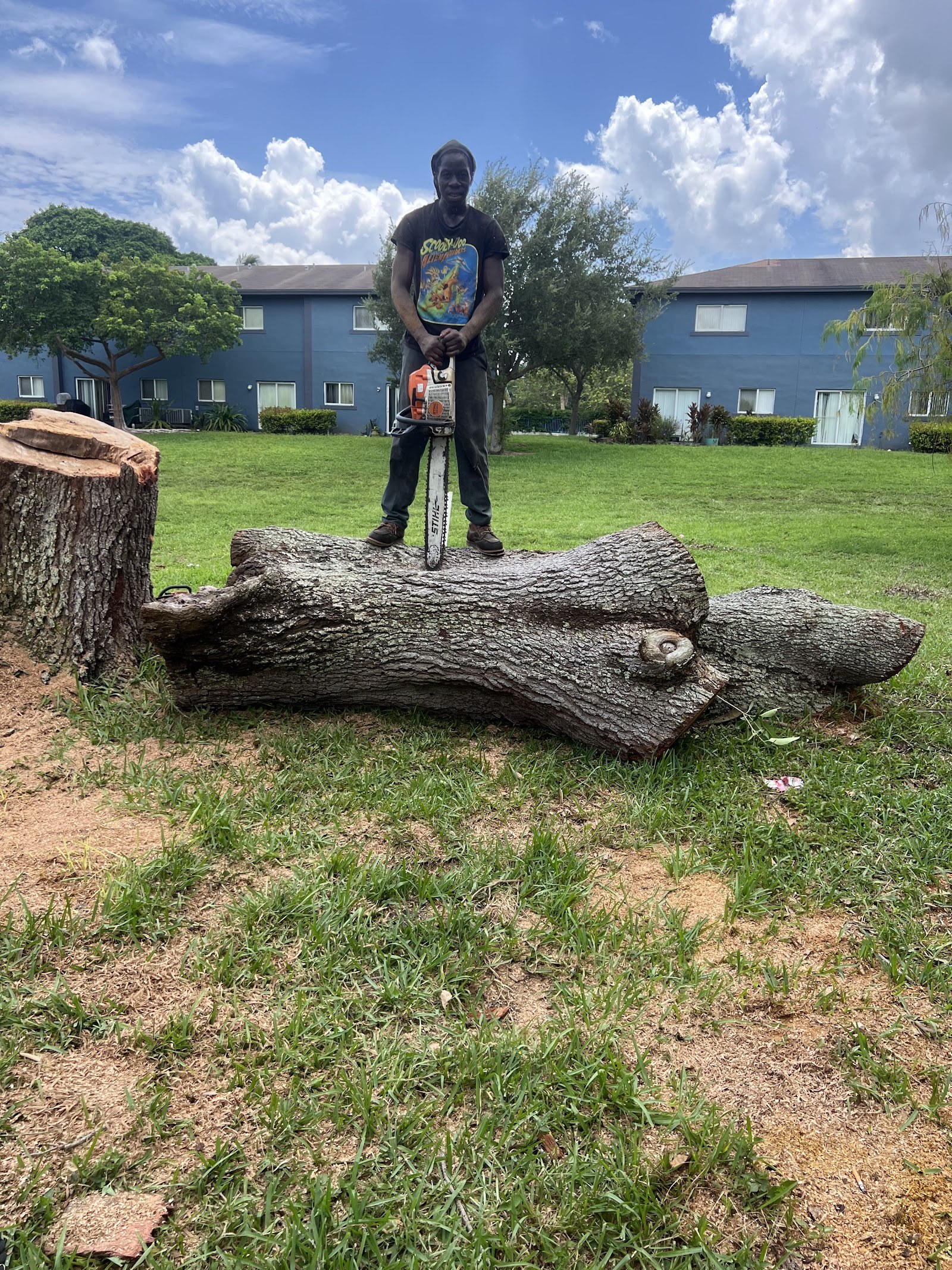 Crew member atop a freshly cut trunk section