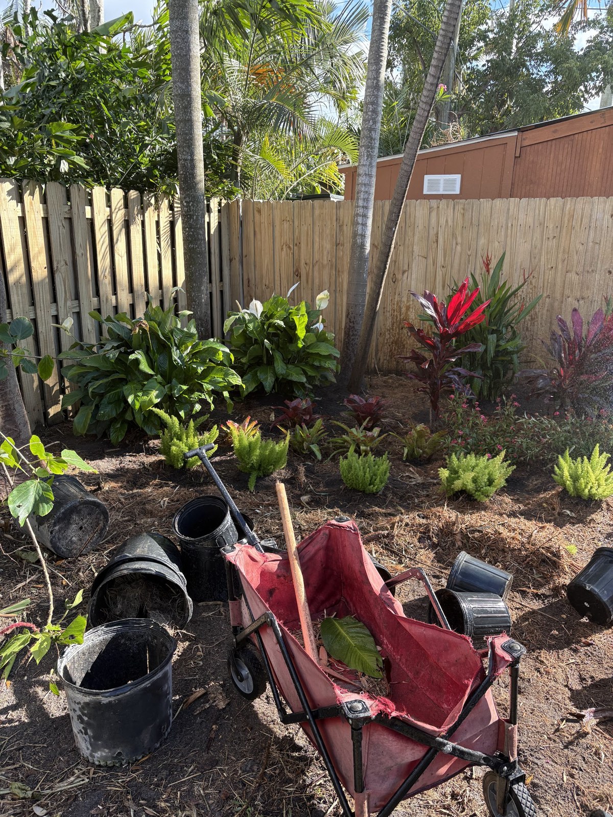 Landscape Service & Cleanup